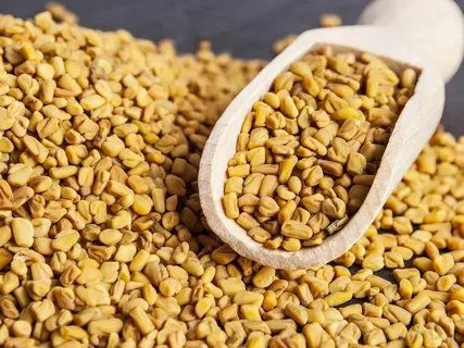 Fenugreek