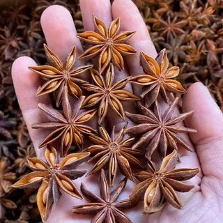 Star Anise