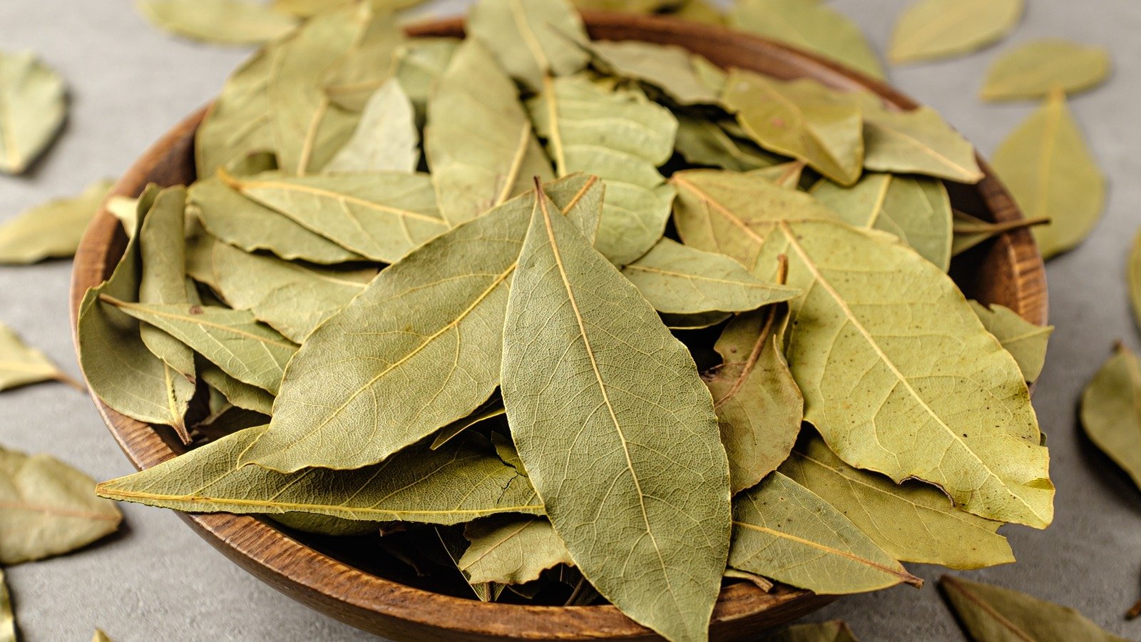 Bay Leaf